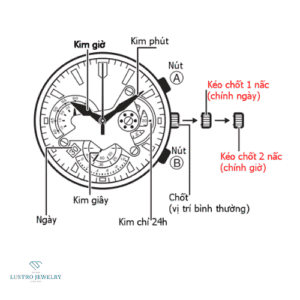 đồng hồ đeo tay 